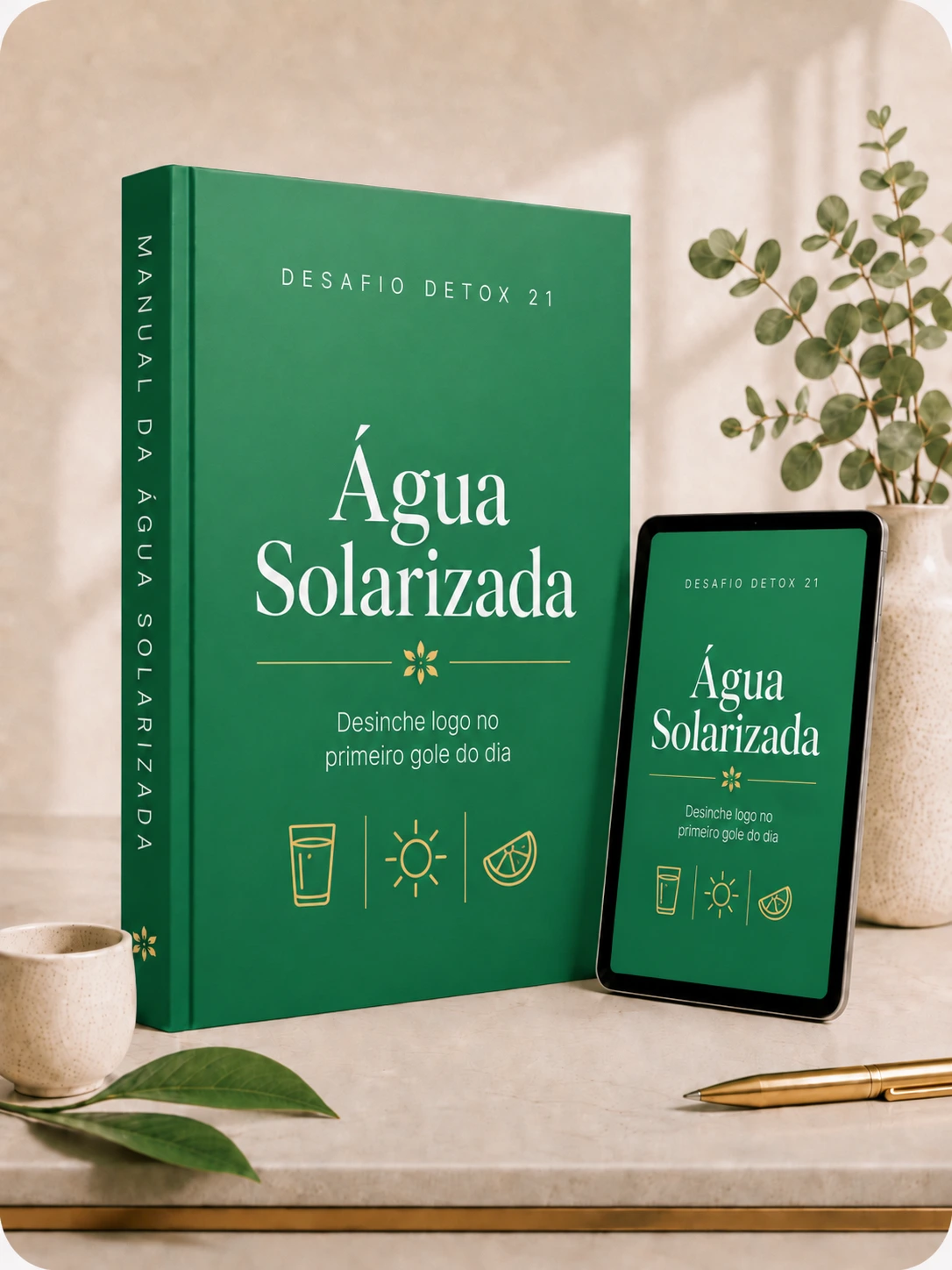 Manual da Água Solarizada